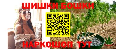 сатива Заводоуковск
