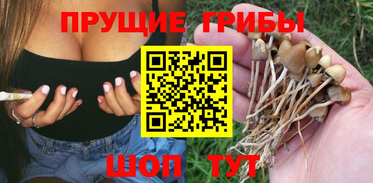 Малгобек  Псилоцибиновые грибы GOLDEN TEACHER  Вход с VPN 